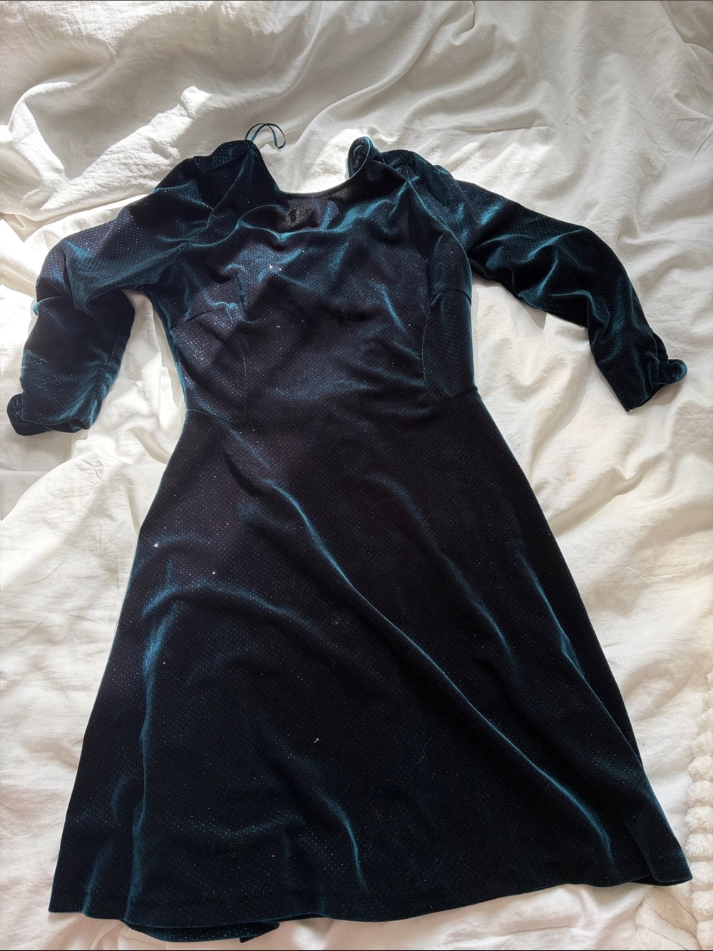 Zara velvet sparkle dress
